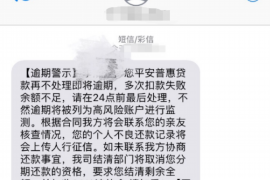 贞丰如何避免债务纠纷？专业追讨公司教您应对之策