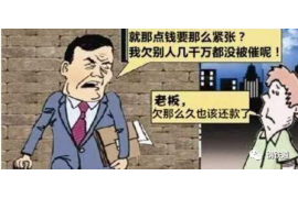 贞丰专业讨债公司有哪些核心服务？